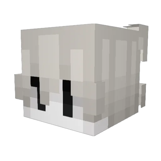 Tyszkaa Minecraft avatar head, 3D render