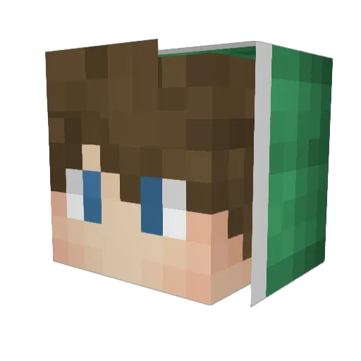 Tyty0318 Minecraft avatar head, 3D render