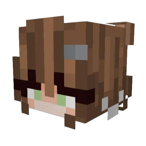 Tyty_Dev Minecraft avatar head, 3D render