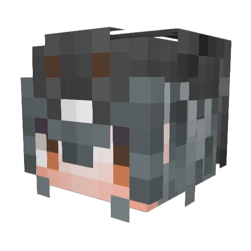 Tyuit Minecraft avatar head, 3D render