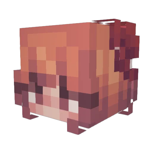 Tywew Minecraft avatar head, 3D render