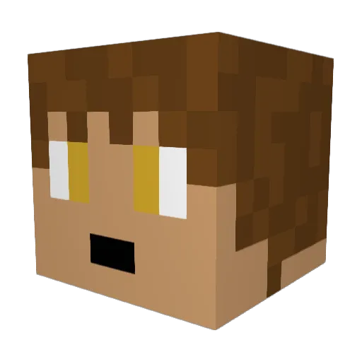 Tyxicc Minecraft avatar head, 3D render
