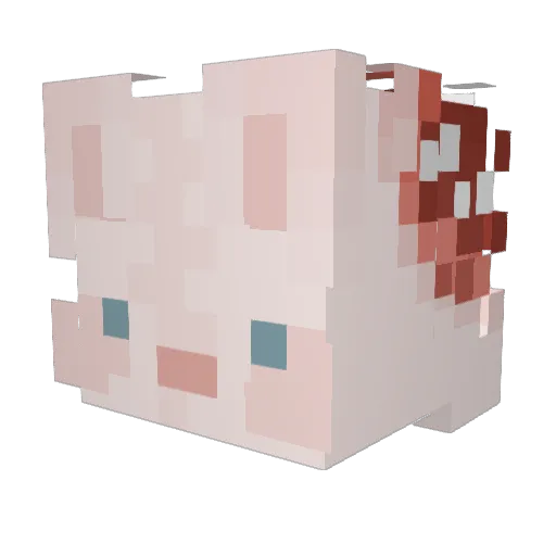 Tyxm Minecraft avatar head, 3D render