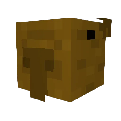 Tyxrel02 Minecraft avatar head, 3D render