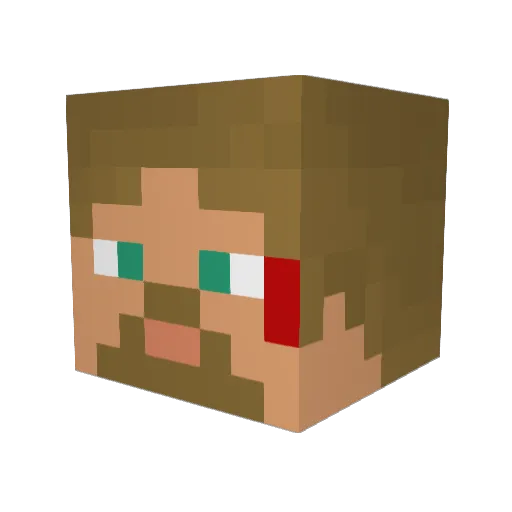Tyxxon Minecraft avatar head, 3D render
