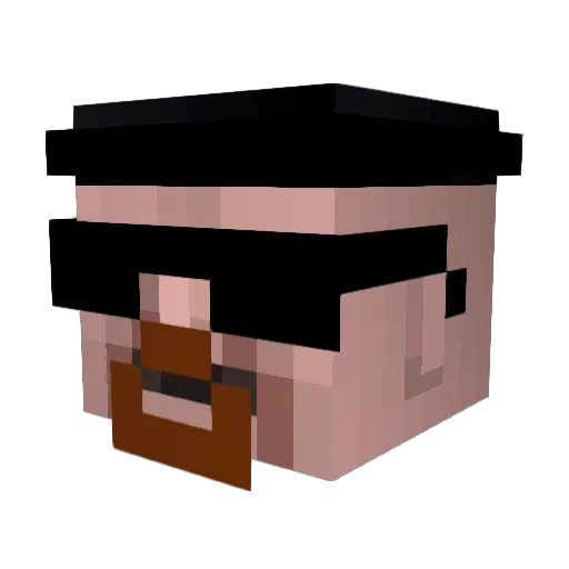 Tyxyr Minecraft avatar head, 3D render