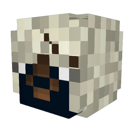 Tyz2000 Minecraft avatar head, 3D render