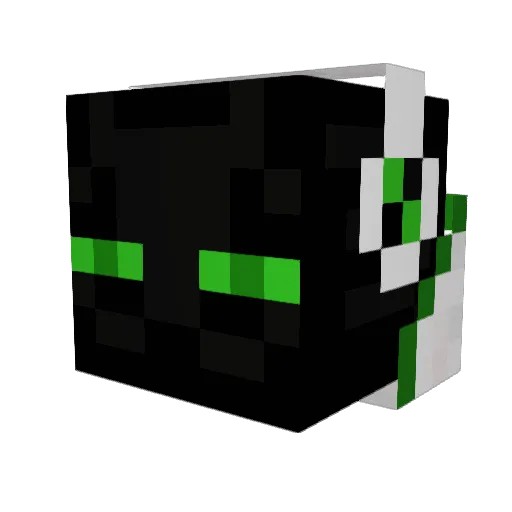 Tyzxnn Minecraft avatar head, 3D render