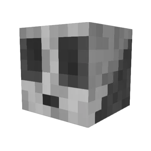 Tzoopz1 Minecraft avatar head, 3D render