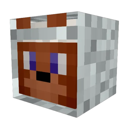 UFOjimmy443 Minecraft avatar head, 3D render