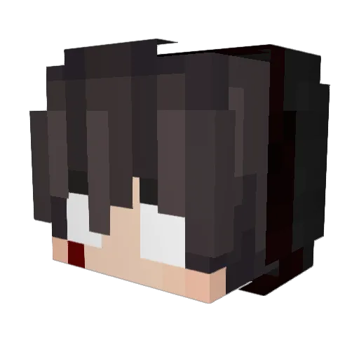 UF_Fayn Minecraft avatar head, 3D render
