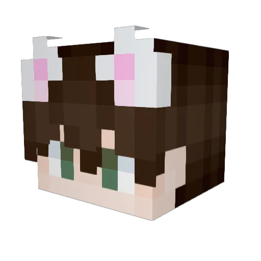 ULTRAMASTERCZ Minecraft avatar head, 3D render