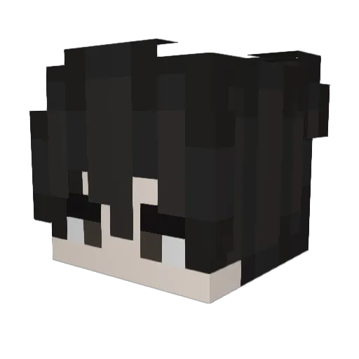 UMIQLONELY_Jr_ Minecraft avatar head, 3D render