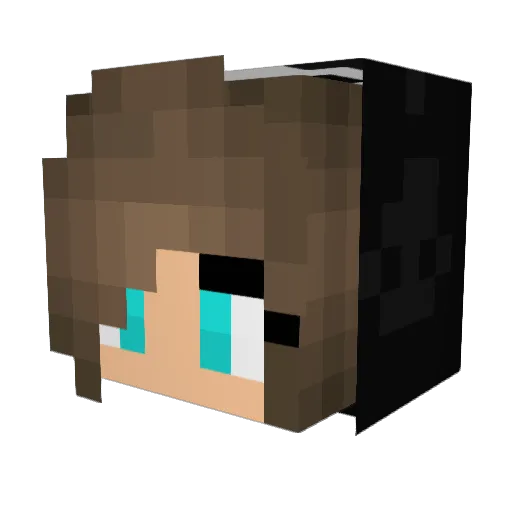 UMIchanman Minecraft avatar head, 3D render