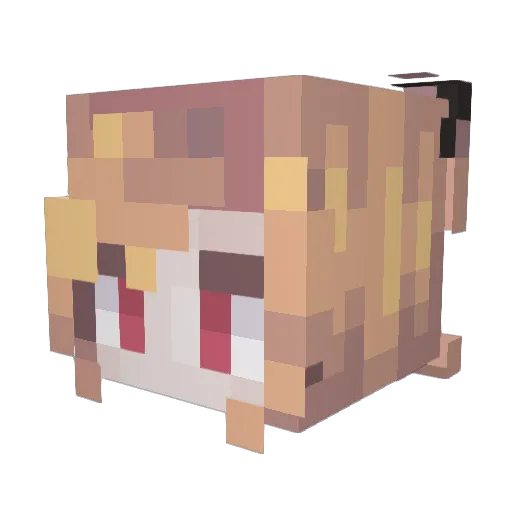 UMP9_Team_404 Minecraft avatar head, 3D render
