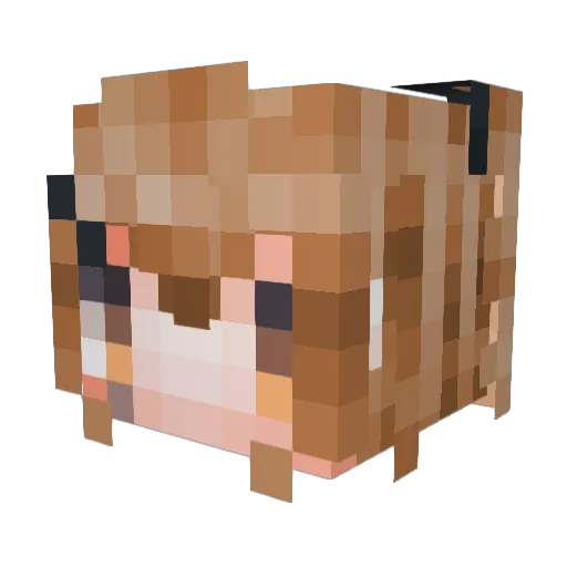 UMP__9 Minecraft avatar head, 3D render