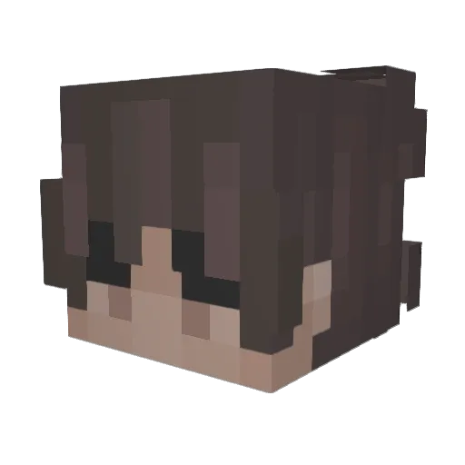 UNICHicken350 Minecraft avatar head, 3D render