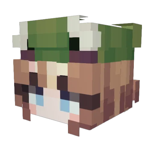 UNIDENTIFYED_ Minecraft avatar head, 3D render
