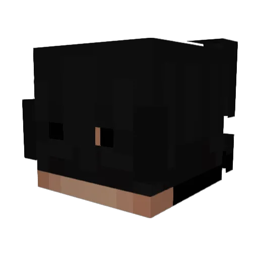 UNKNOWN_55 Minecraft avatar head, 3D render