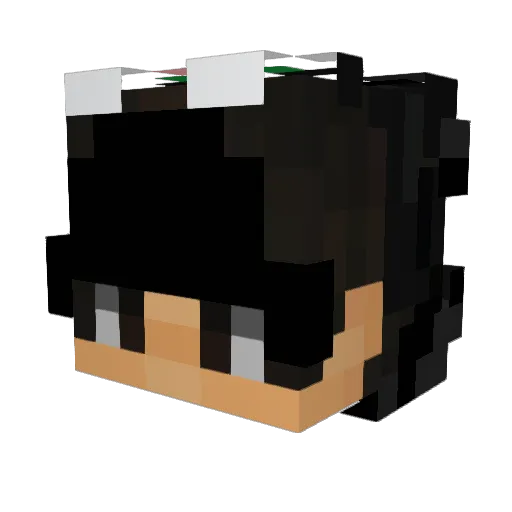 URUGUASHO Minecraft avatar head, 3D render
