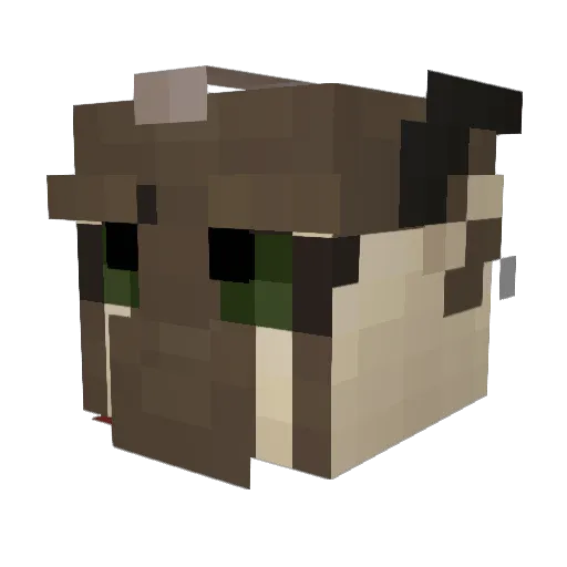 USAGoldenfox Minecraft avatar head, 3D render