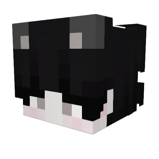 USB_TOASTER Minecraft avatar head, 3D render