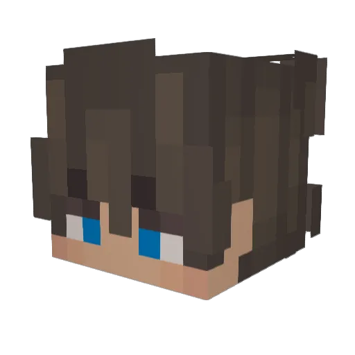 USBobby99 Minecraft avatar head, 3D render
