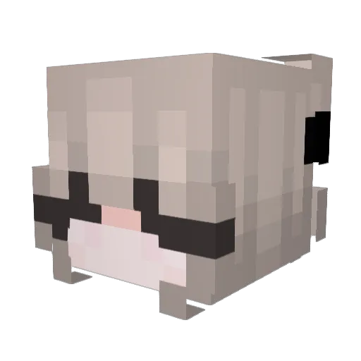 USEMEDADDYY Minecraft avatar head, 3D render