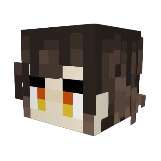 USER00001 Minecraft avatar head, 3D render