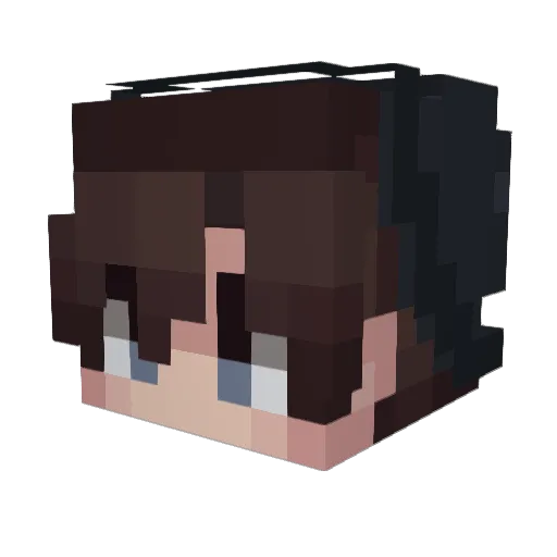 USHWO Minecraft avatar head, 3D render