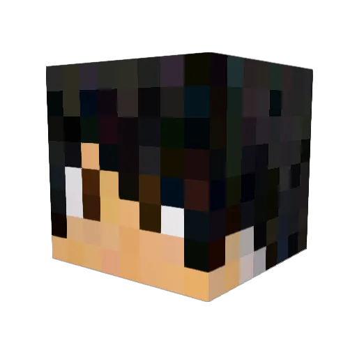 USMEEDA Minecraft avatar head, 3D render