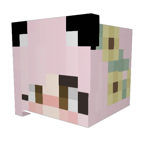USS_Tuba Minecraft avatar head, 3D render
