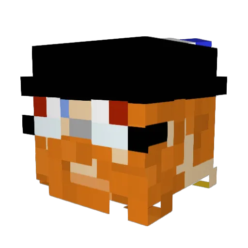 USTEC100 Minecraft avatar head, 3D render