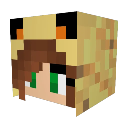 US_31 Minecraft avatar head, 3D render