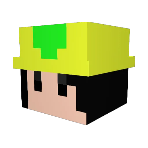 US_ALEXS Minecraft avatar head, 3D render