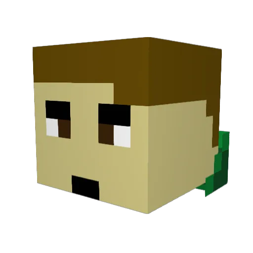USbest Minecraft avatar head, 3D render