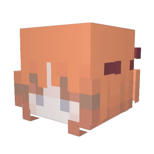 UW Minecraft avatar head, 3D render