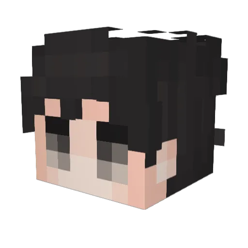 U_No_Who Minecraft avatar head, 3D render