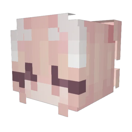 U_S_B Minecraft avatar head, 3D render