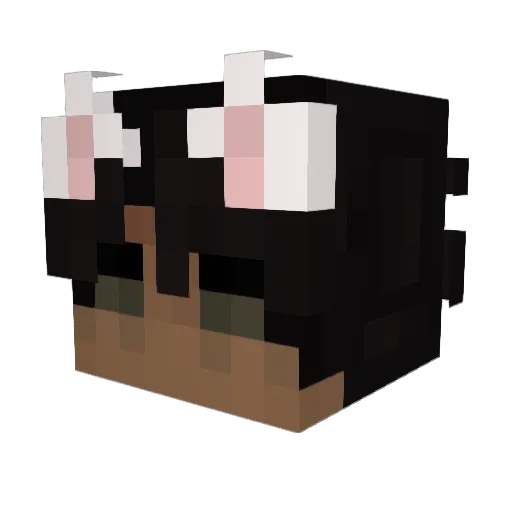 UaiAlves Minecraft avatar head, 3D render