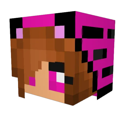 Ualtj Minecraft avatar head, 3D render