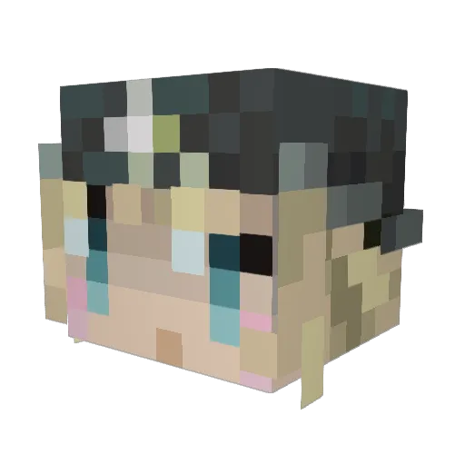 Uasdecawert Minecraft avatar head, 3D render