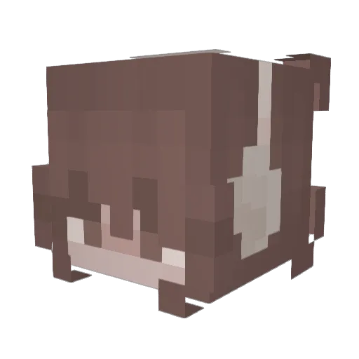 UberTheP0oper Minecraft avatar head, 3D render