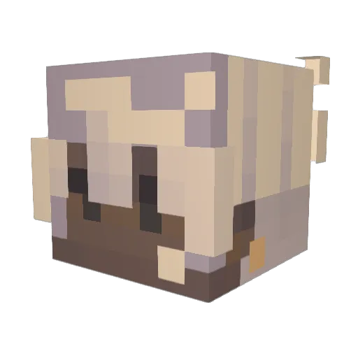 Ubur Minecraft avatar head, 3D render