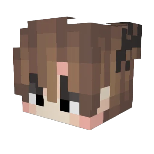 Ucula Minecraft avatar head, 3D render