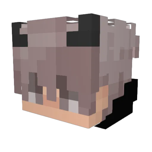 Udajesz Minecraft avatar head, 3D render
