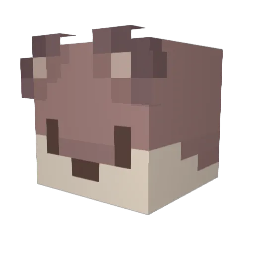 Udonmessedup Minecraft avatar head, 3D render