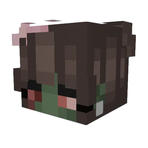 Udonsaur Minecraft avatar head, 3D render