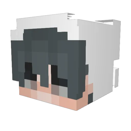 Uend Minecraft avatar head, 3D render