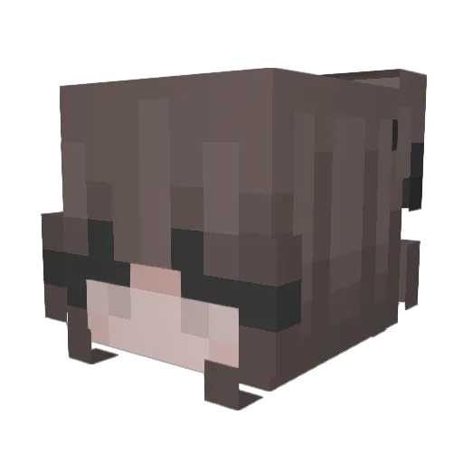 Uewii Minecraft avatar head, 3D render